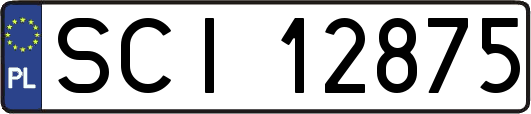 SCI12875