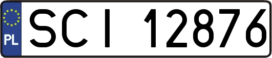 SCI12876