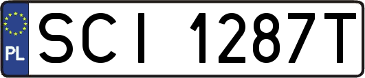 SCI1287T