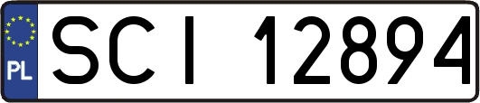 SCI12894