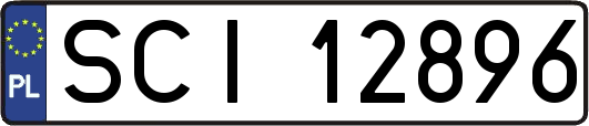 SCI12896