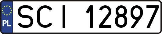 SCI12897