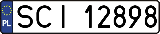 SCI12898