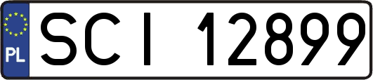 SCI12899