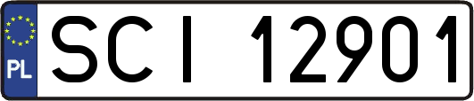 SCI12901