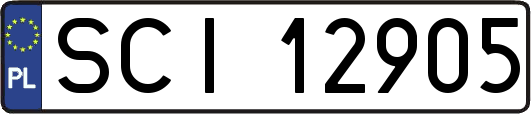 SCI12905