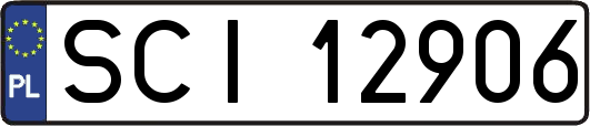 SCI12906