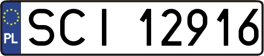 SCI12916