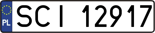 SCI12917