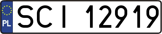 SCI12919