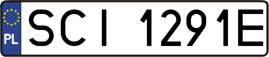 SCI1291E