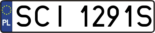 SCI1291S