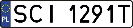 SCI1291T