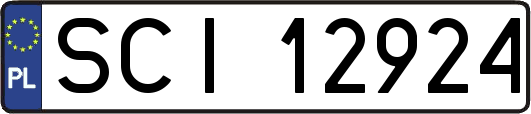 SCI12924
