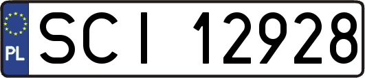 SCI12928