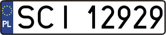 SCI12929