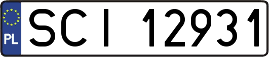 SCI12931