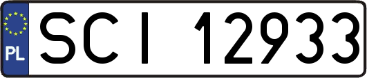 SCI12933