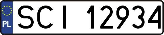 SCI12934