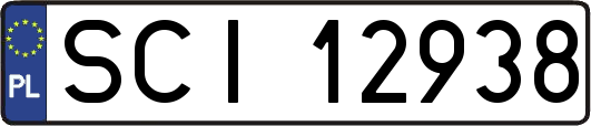 SCI12938