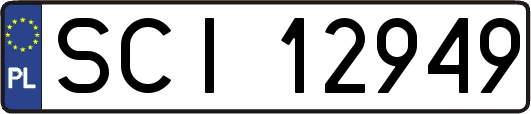 SCI12949
