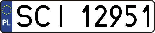 SCI12951