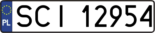 SCI12954