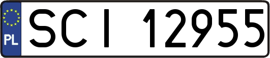 SCI12955