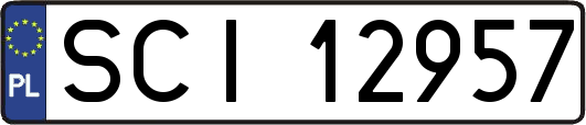 SCI12957