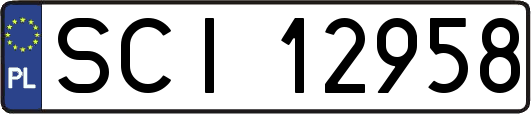 SCI12958