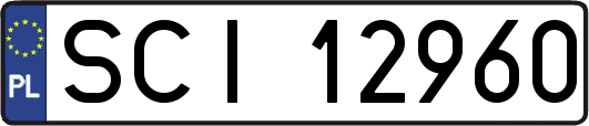 SCI12960
