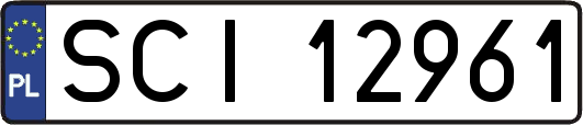 SCI12961