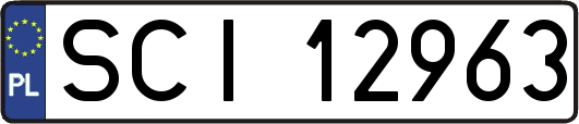 SCI12963