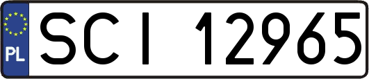 SCI12965