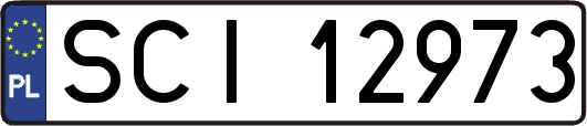 SCI12973