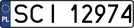 SCI12974
