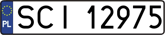 SCI12975