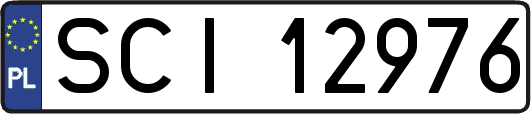 SCI12976