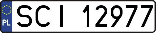 SCI12977