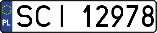 SCI12978
