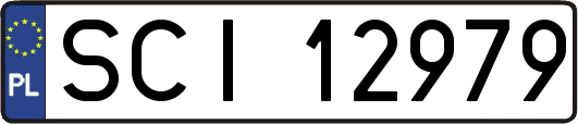 SCI12979