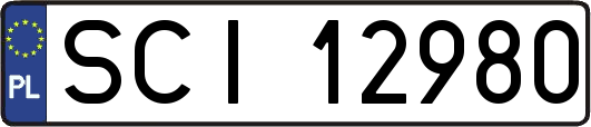 SCI12980