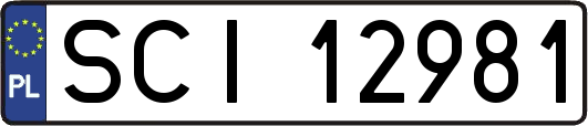 SCI12981