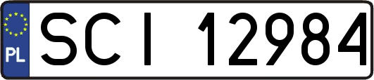 SCI12984