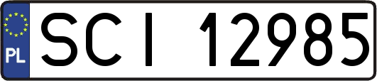 SCI12985