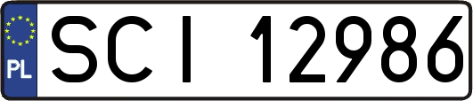 SCI12986