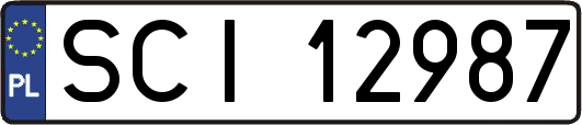 SCI12987