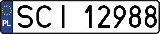 SCI12988