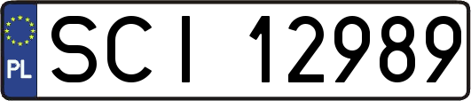 SCI12989