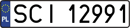 SCI12991